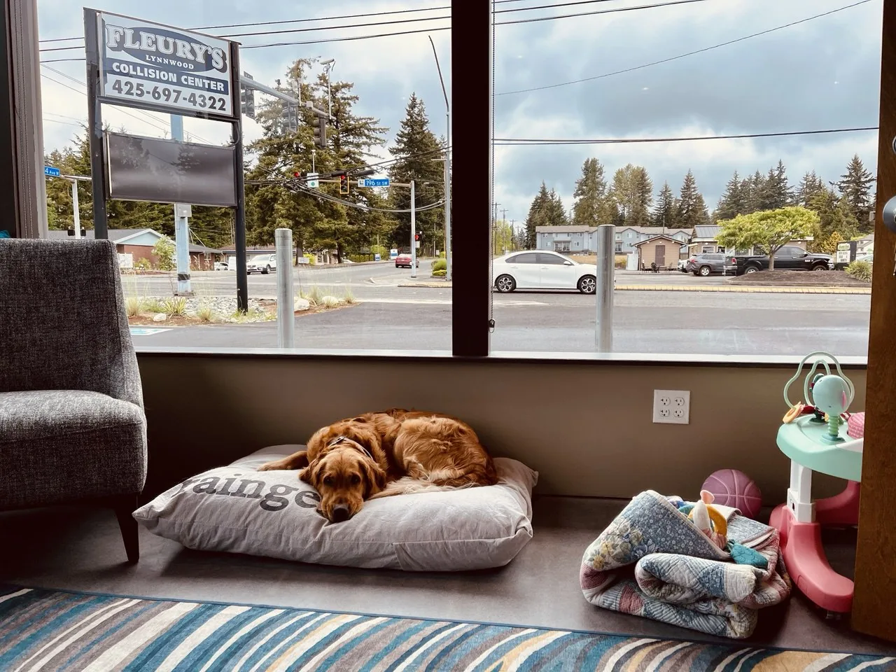 Dog asleep in bed in waiting area below Lynnwood sign visible through window.